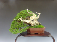 ���͈ē���