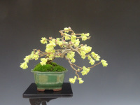 ���͈ē���