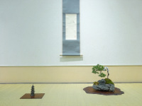 ���͈ē���